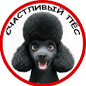 Логотип груминг салона Red Paws Новосибирск